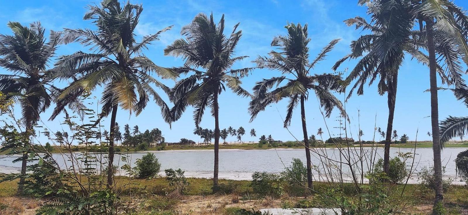 A&Y Wild Camp Ghana Keta Exterior foto