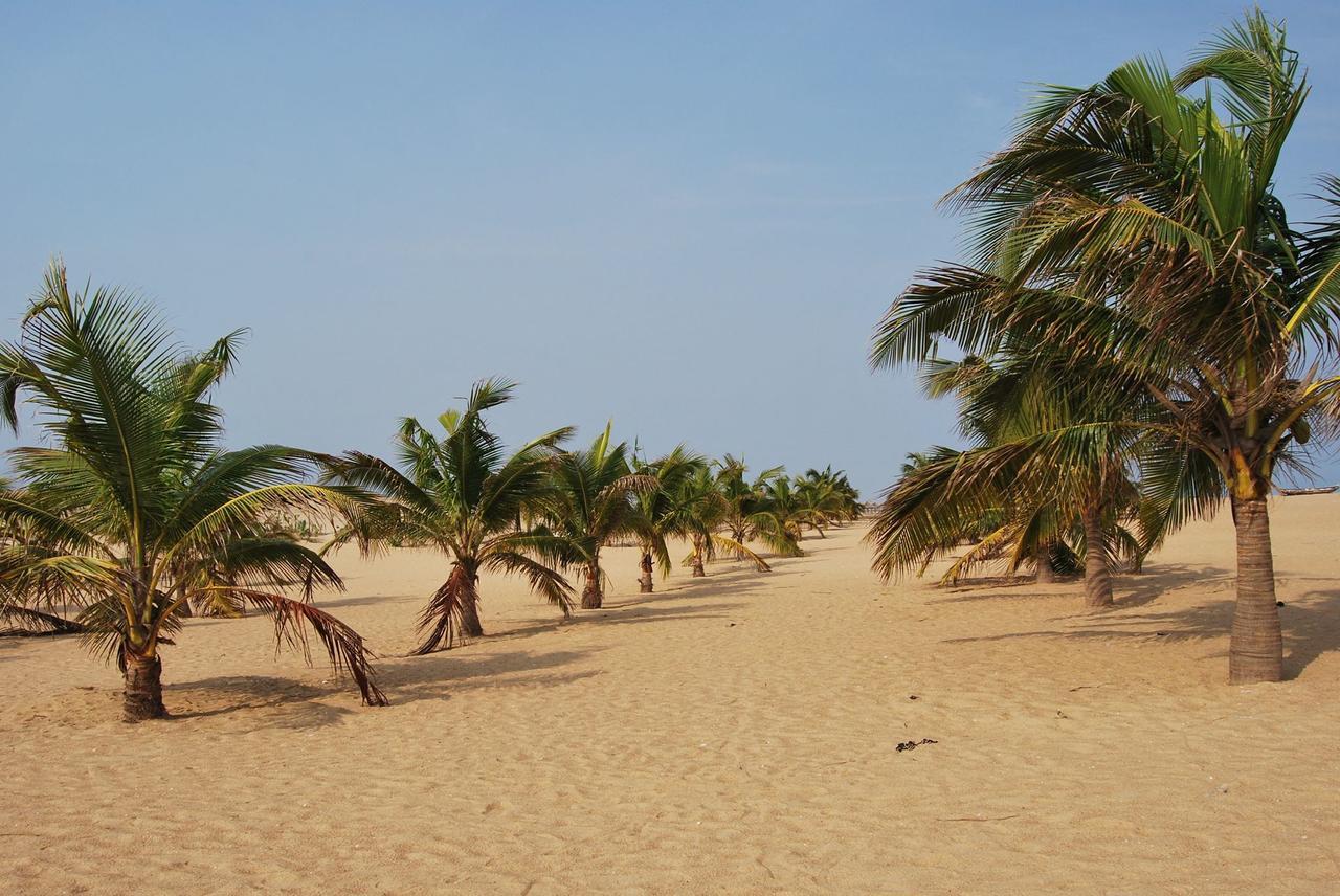 A&Y Wild Camp Ghana Keta Exterior foto