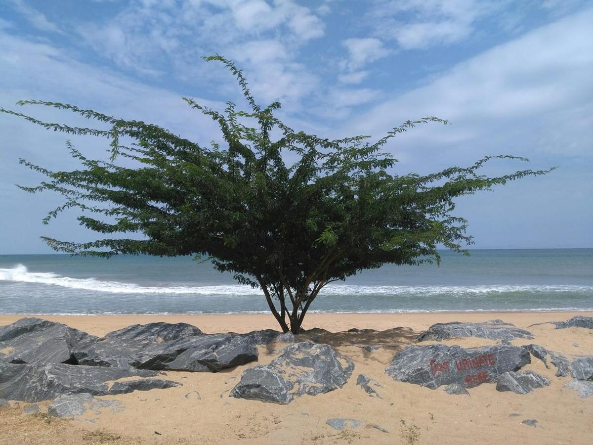 A&Y Wild Camp Ghana Keta Exterior foto